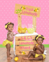 caelynlemonadestand