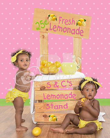 caelynlemonadestand