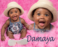 damayacollage